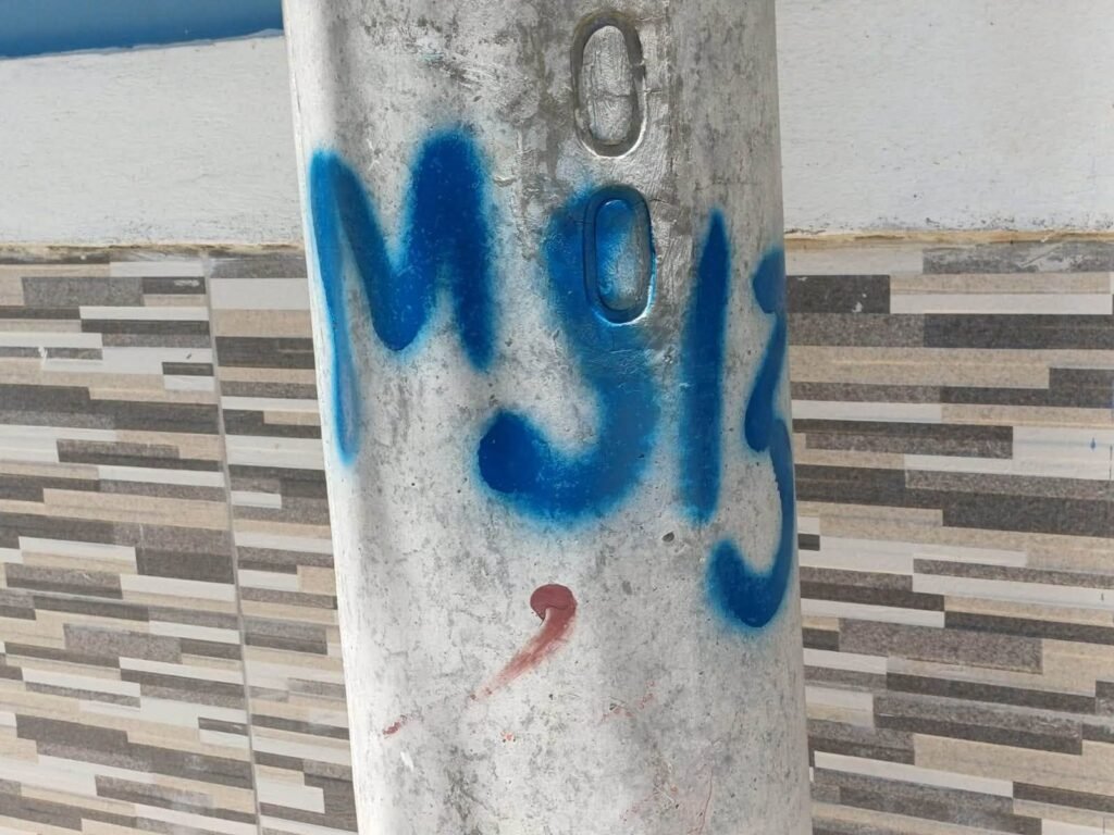 La PNC captura a presunto miembro de la MS13 por intentar reorganizar la estructura criminal en Santa Ana 3 catsdfafasd