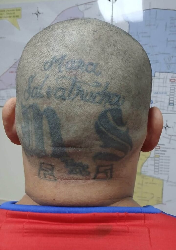 Capturan a alias Enyer peligroso pandillero de la MS13 que intentaba pasar desapercibido 3 catsdfdsf