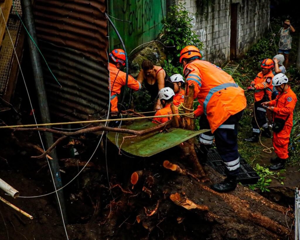 Lluvias provocan caída de un árbol de gran magnitud y dejan daños en San Salvador Centro 1 catsewsfsd