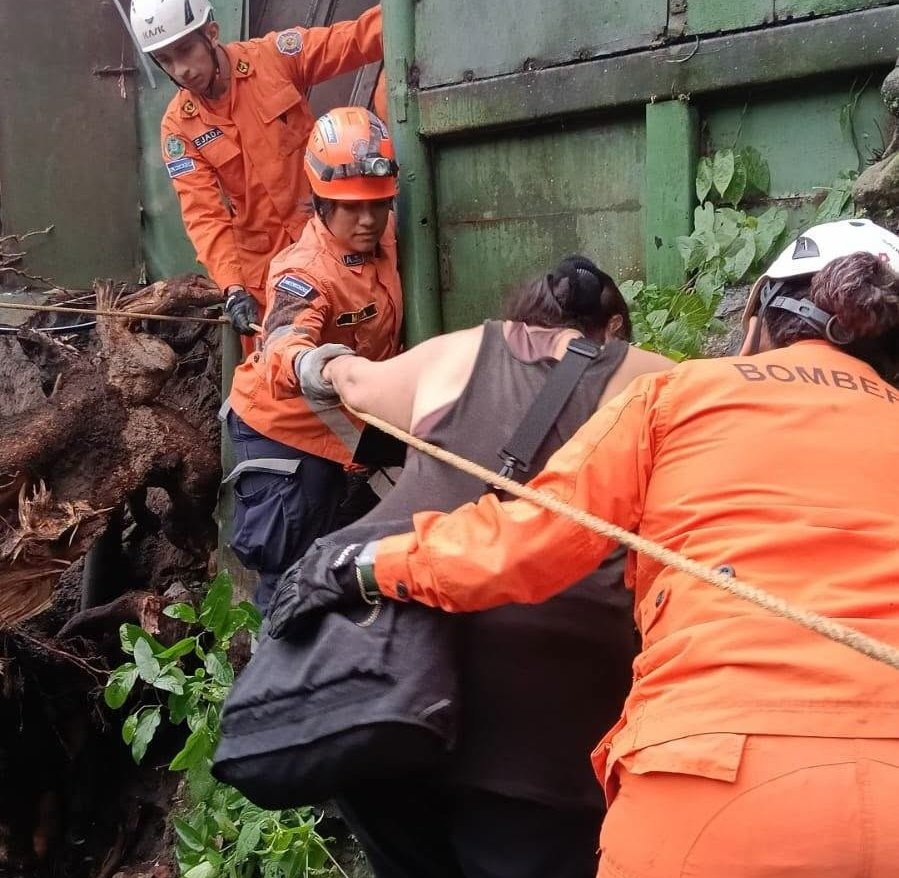 Lluvias provocan caída de un árbol de gran magnitud y dejan daños en San Salvador Centro 3 catsfsd